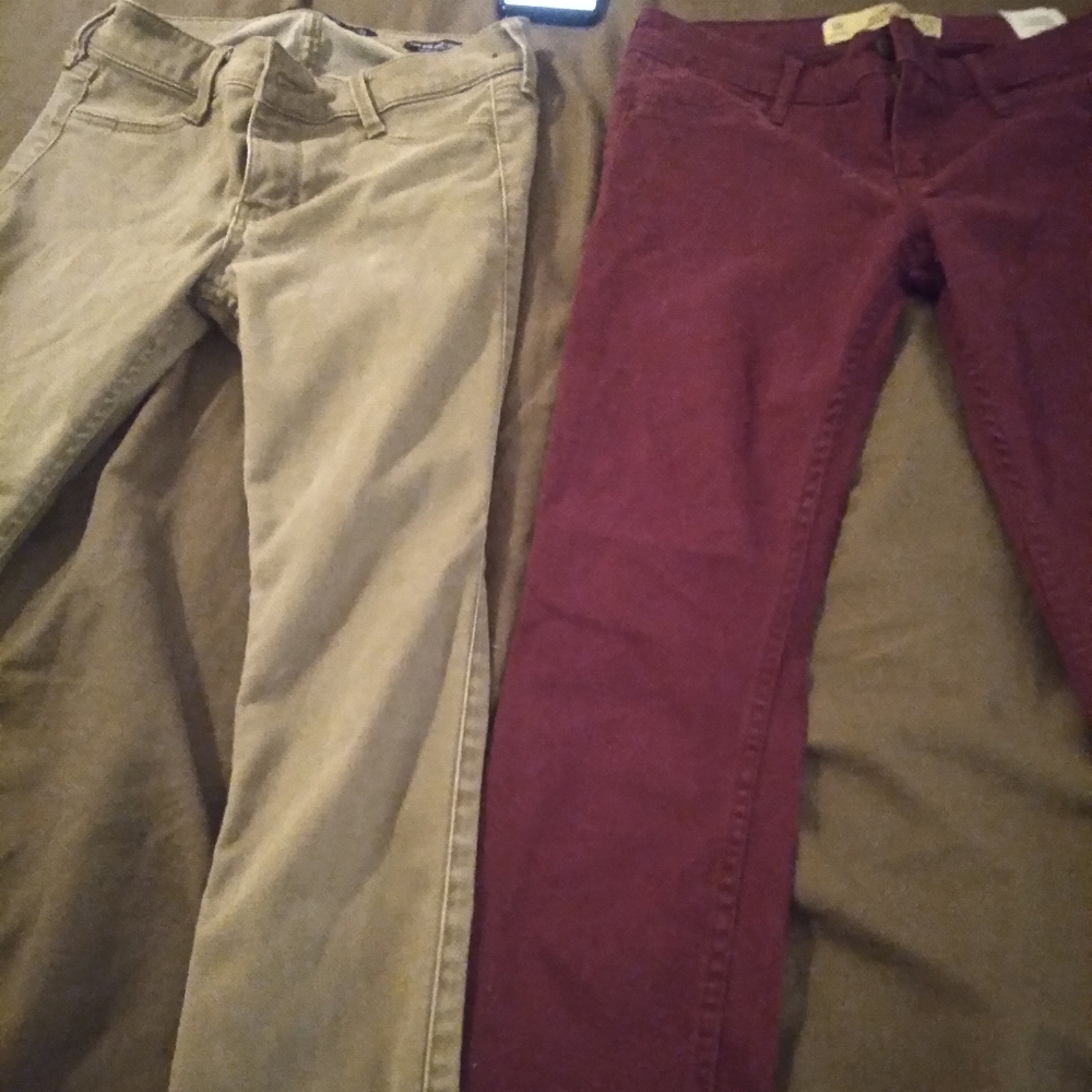 Hollister pants